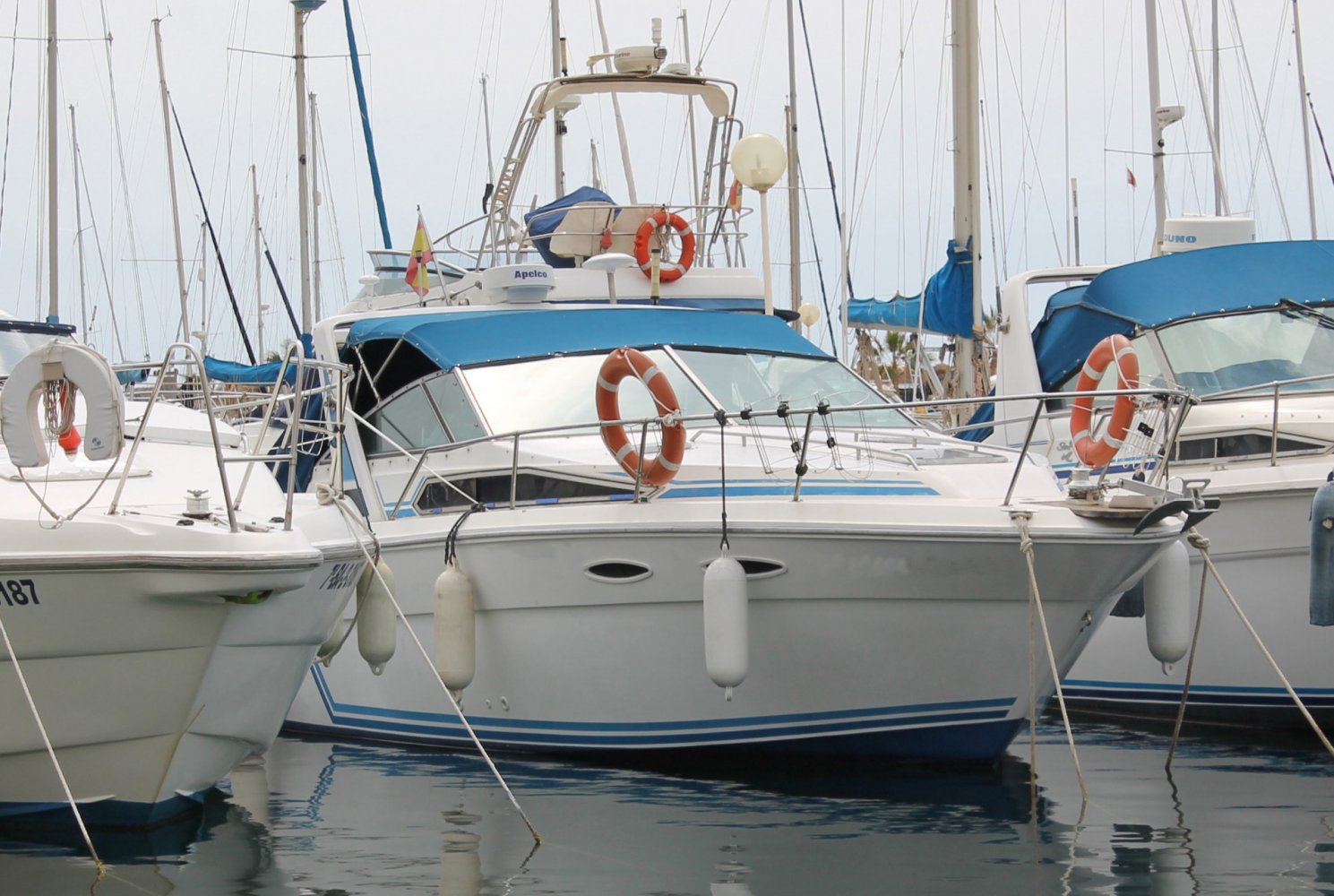 Sea Ray 300 - White Whale Yachtbrokers